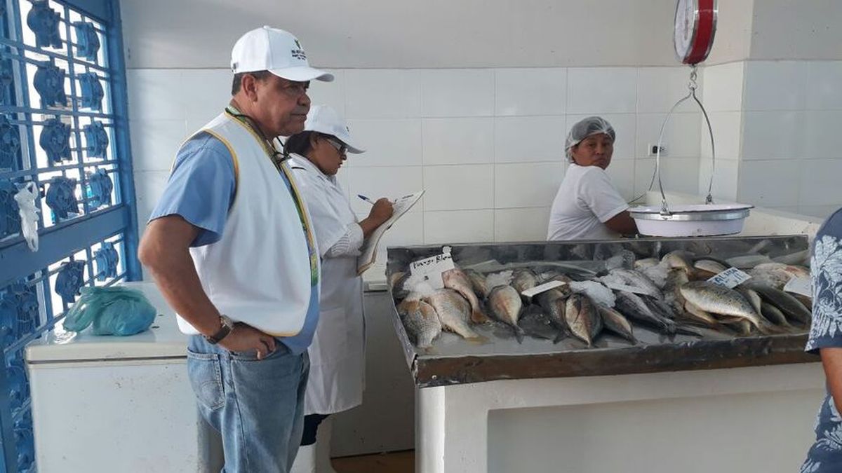 Acodeco y Minsa inspeccionan el Mercado de Mariscos en primer viernes de  Cuaresma