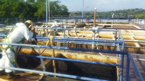 ¡Mañana! IDAAN anuncia trabajos en Panamá Oeste ¿Qué sectores no tendrán agua?