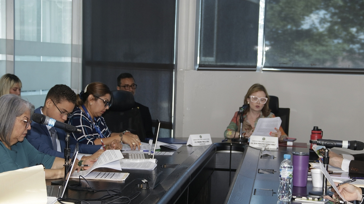 Subcomisión legislativa analiza reformas a la Ley General de Adopciones en Panamá