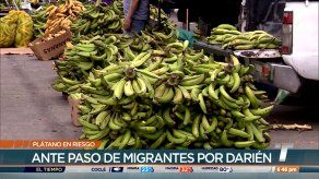 Migración irregular podría facilitar ingreso de enfermedad del plátano Migración irregular podría facilitar ingreso de enfermedad del plátano