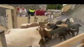Primer encierro en San Fermín: rápido y sin ningún herido