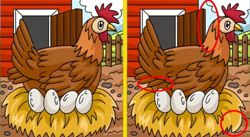 Aquí está la respuesta del juego de retos visuales Aquí está la respuesta del juego de retos visuales