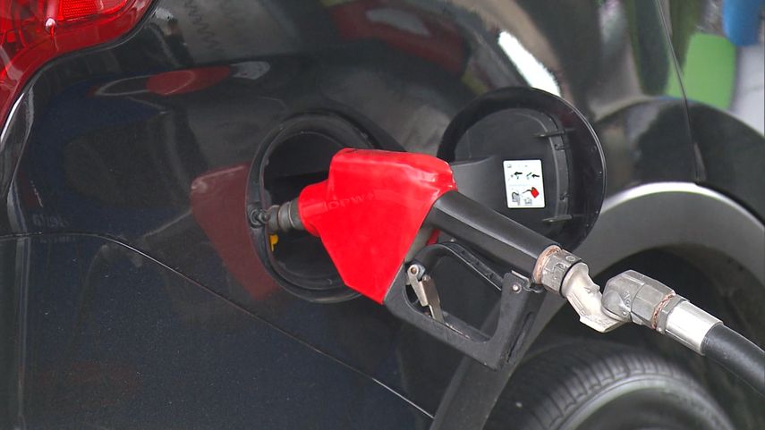 Los precios del combustible cambian cada quince días.