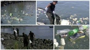 Botellas de plástico entre los principales desechos encontrados en Cinta Costera