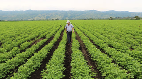 El presidente electo José Raúl Mulino ha anunciado dos importantes designaciones.
