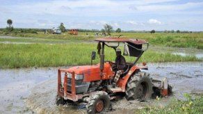 La aparición de la agricultura hizo más frágiles los huesos humanos