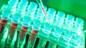 El cáncer es la primera causa de muerte entre latinos en EEUU