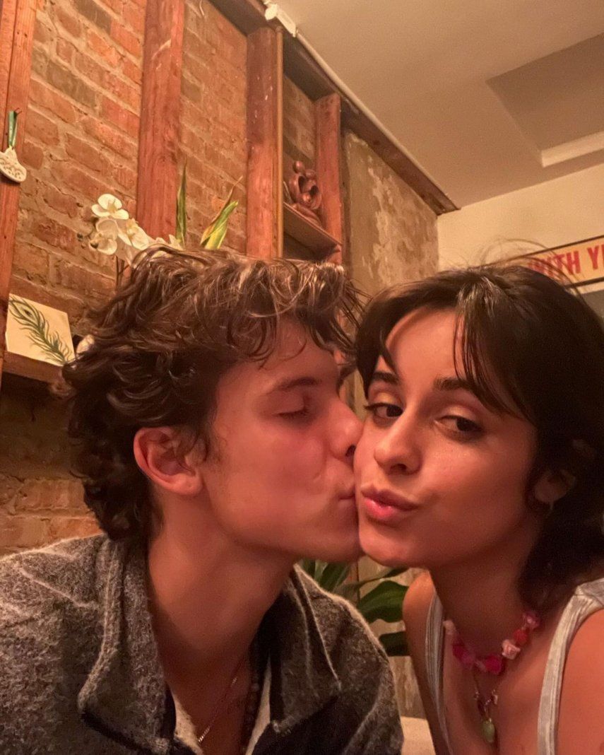 Camila Cabello y Shawn Mendes compartirán sus experiencias semanalmente.&nbsp;