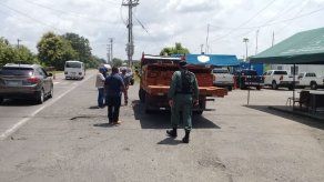 Concepción señala que suspensión de permisos de tala de árboles se da ante la alta deforestación