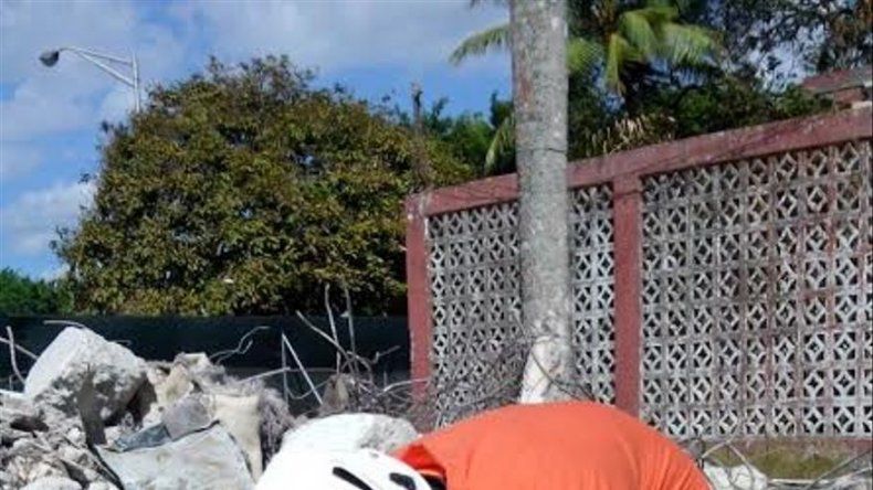Perros realizan pruebas para convertirse en rescatistas