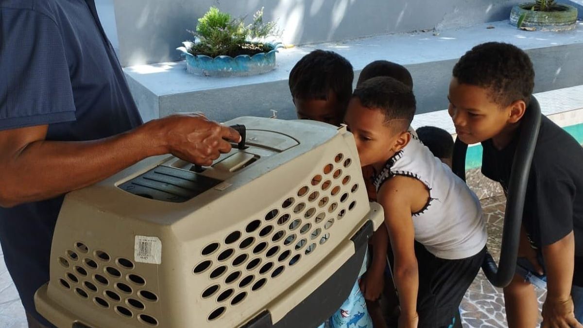 MiAmbiente MiAmbiente