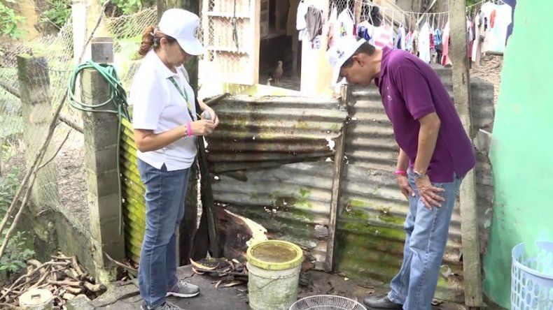 Lanzan campaña nacional del Día D contra proliferación del mosquito Aedes Aegypti
