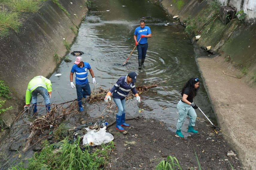 Cochinos PTY de la Alcaldía
