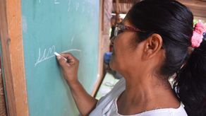 El 8 de septiembre de conmemora el Día Internacional de la Alfabetización﻿.