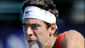 Del Potro gana a Ferrer en Japón