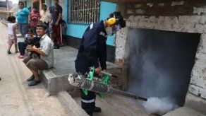 Preguntas y respuestas del virus del zika en América Latina