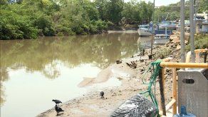 Sector pesquero también ha sido afectado por la contaminación en el río Juan Diaz