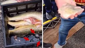 &nbsp;¡Tramposos! Dan diez días de cárcel a dos personas en torneo de pesca