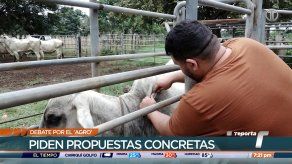 Productores esperan propuestas concretas de candidatos presidenciales