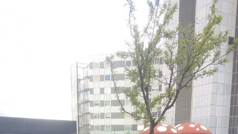 Niña Andrea Quijada es operada, necesitará una segunda intervención