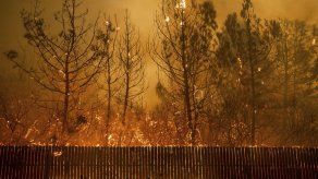 Científicos: Trump se equivoca al dar razones de incendios