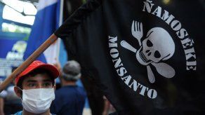 Francia prohíbe la venta a particulares de un herbicida de Monsanto
