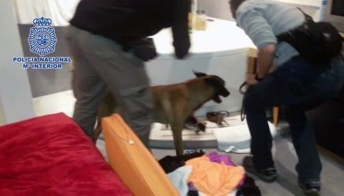 España desmantela red de tráfico humano