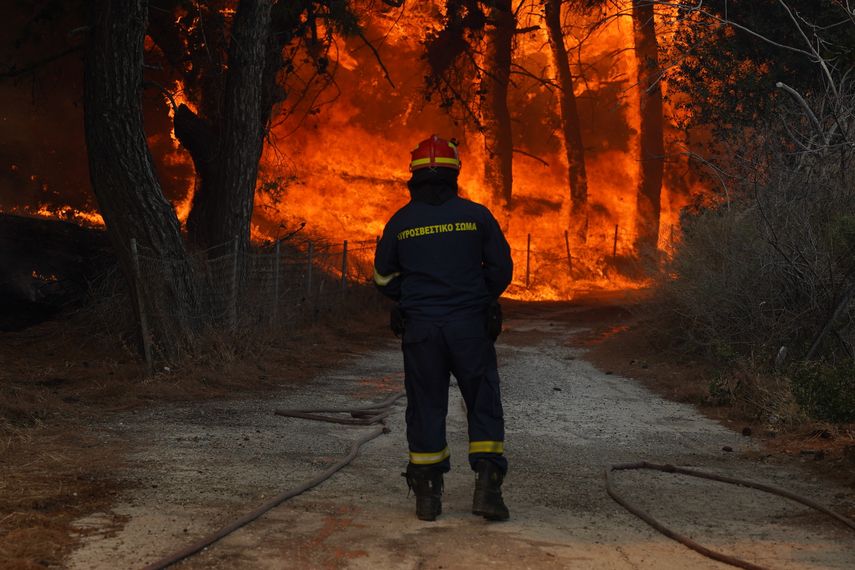 La Unión Europea dio al servicio forestal de Grecia 72 millones de euros este año para ayudar a mantener los bosques y limpiarlos para evitar la propagación de incendios.