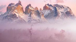 El español Ignacio Palacios fotografía la naturaleza para que sea cuidada