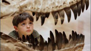 Un hueso altera fechas de deriva de continentes