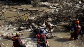 Cerca de 4,000 viviendas han quedado destruidas.