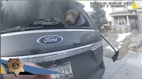 El propietario gritaba frenéticamente que su perro Hank estaba dentro del vehículo cerrado.