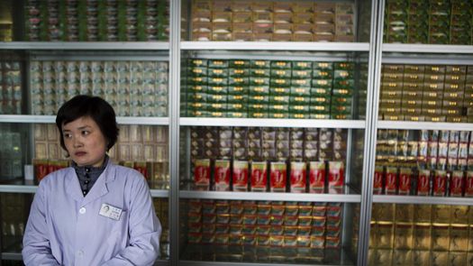 Al igual que con otros aspectos de la vida en Corea del Norte, la medicina que el estado asegura que está curando a los enfermos está siendo utilizada como símbolo político.