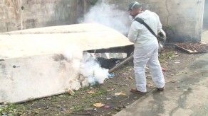 Minsa confirma ocho casos de dengue grave en Panamá