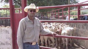 Detienen a ex ministro Kieswetter por investigación de proyecto de Riego de Tonosí Detienen a ex ministro Kieswetter por investigación de proyecto de Riego de Tonosí