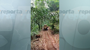 MiAmbiente acoge denuncia por construcción de carretera sin permisos MiAmbiente acoge denuncia por construcción de carretera sin permisos