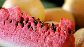 Torrijos considera injusta medida de la UE a exportación