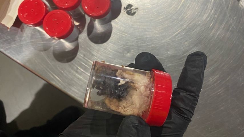 La aduana alemana descubre 1