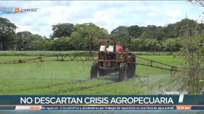 Coordinadora Unidos por el Agro preocupados por deudas del Gobierno central