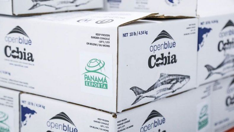 Envían a EEUU el primer embarque de productos del mar bajo la marca Panamá Exporta