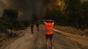 Incendio forestal.