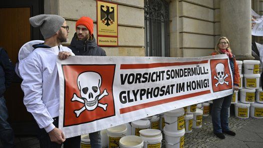 Glifosato no es cancerígeno, según agencia europea