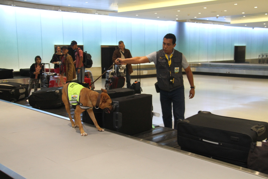 Unidad Canina del MIDA