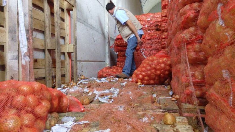Clausuran bodega clandestina en Villa Zaita