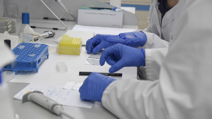 Entre los síntomas de la viruela del mono están fiebre