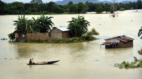 Más de 88.000 afectados por inundaciones en el noreste de la India