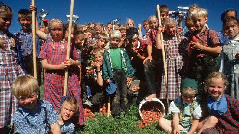 Los niños amish son inmunes al asma