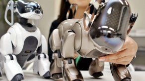 Los perros robots Aibo