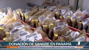 Fundación Dona Vida necesita más donantes voluntarios de sangre