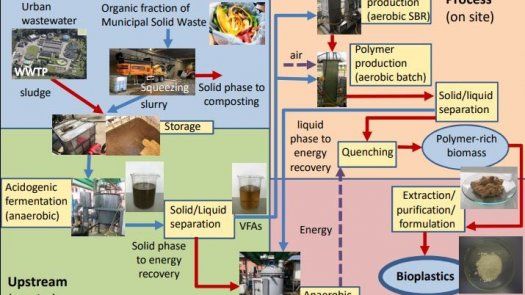 Elaboran bioplásticos a partir de residuos orgánicos urbanos